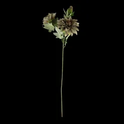 Basic u0026 More Dahlia m. 3 Blomst (H64cm) Lysegrøn> Blomster