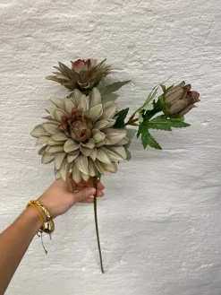 Basic u0026 More Dahlia m. 3 Blomst (H64cm) Lysegrøn> Blomster