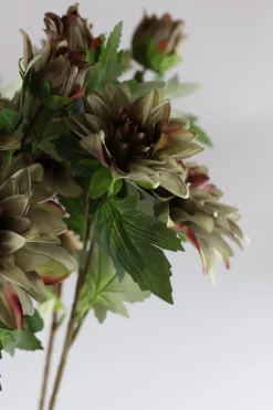 Basic u0026 More Dahlia m. 3 Blomst (H64cm) Lysegrøn><noscript><img width=