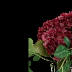 Basic u0026 More Evighedsbuket Rød Hortensia><noscript><img width=