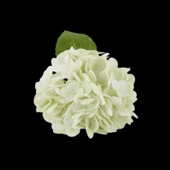 Basic u0026 More Hortensia Blomst (H32cm) Hvid><noscript><img width=
