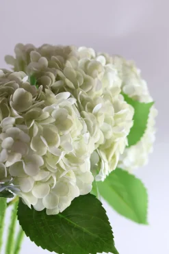 Basic u0026 More Hortensia Blomst (H55cm) Hvid><noscript><img width=