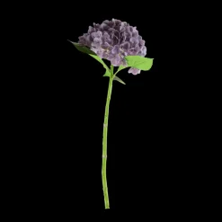 Basic u0026 More Hortensia Blomst (H55cm) Lilla> Blomster