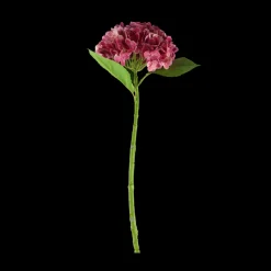 Basic u0026 More Hortensia Blomst (H55cm) Lyserød> Blomster