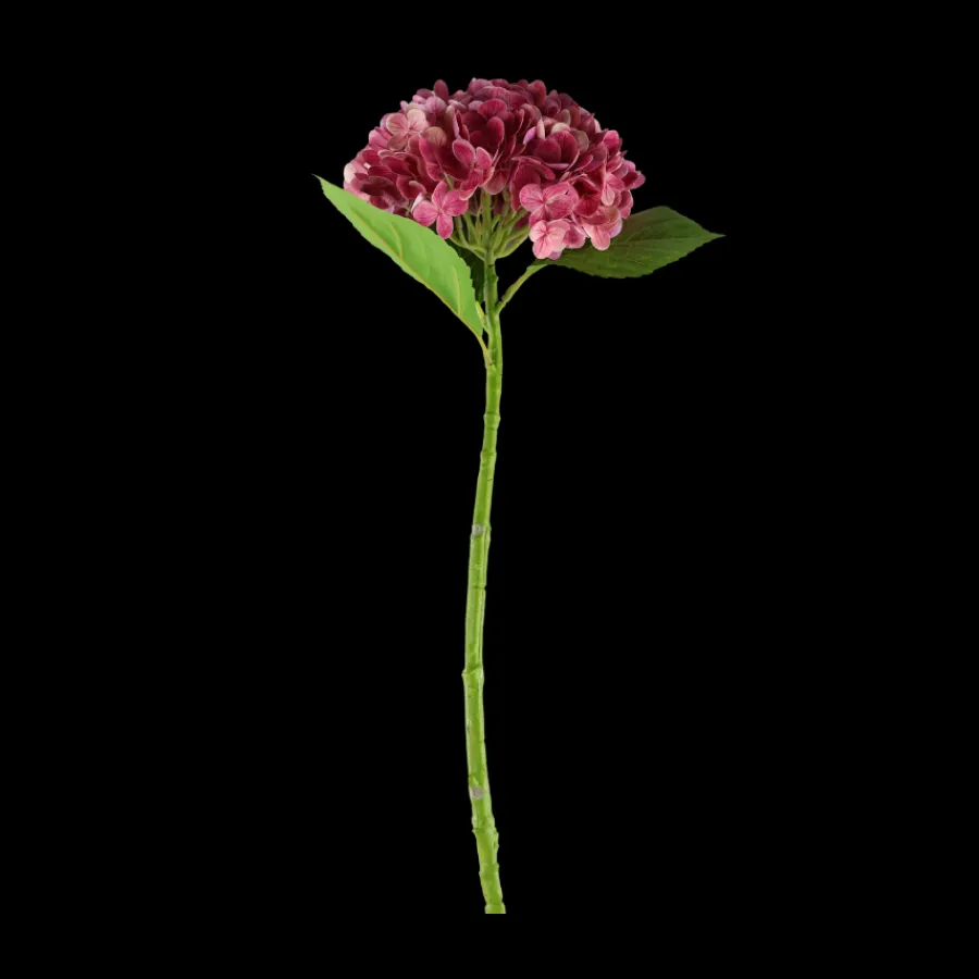 Basic u0026 More Hortensia Blomst (H55cm) Lyserød> Blomster