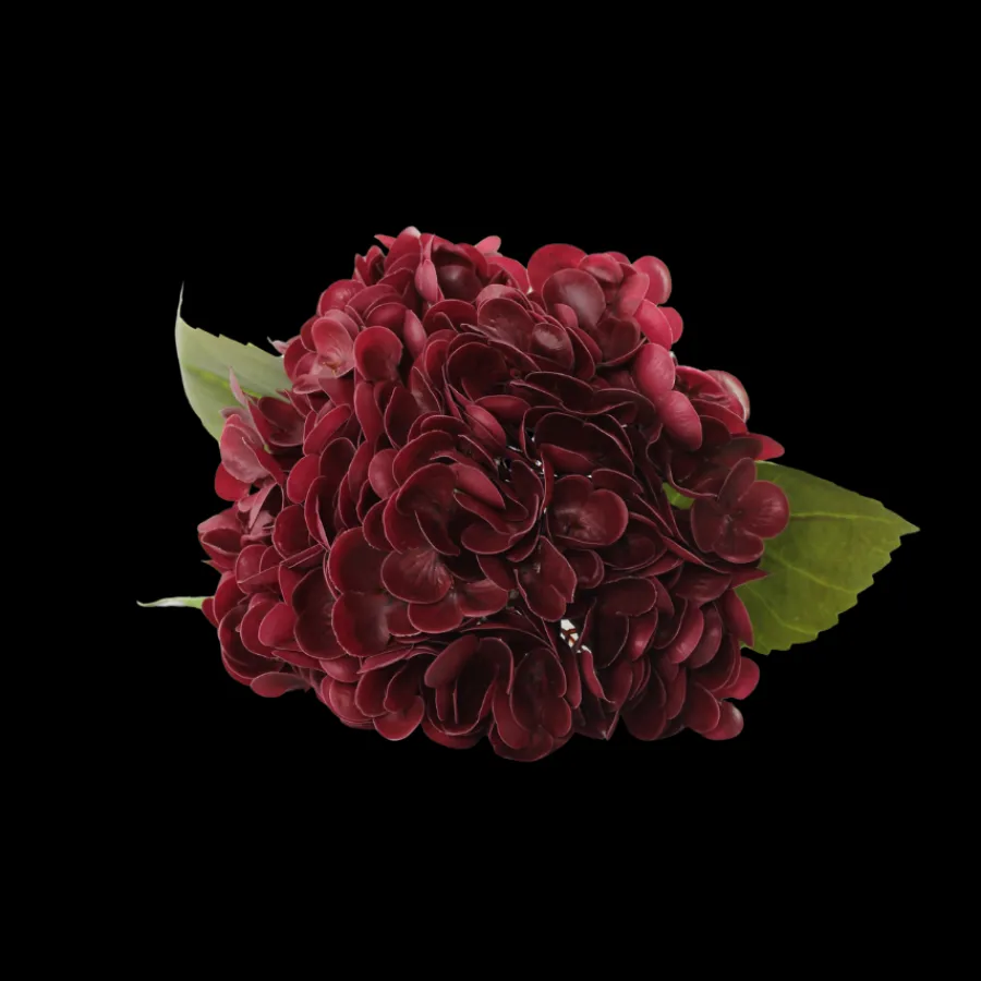 Basic u0026 More Hortensia Blomst (H55cm) Bordeaux> Blomster