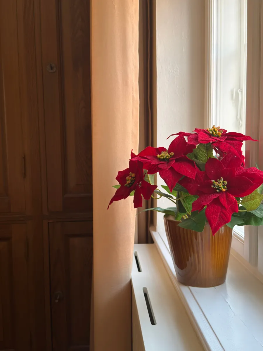 Basic u0026 More Kunstig Julestjerne i Potte Rød (40cm)> Julepynt & Dekoration|Jul