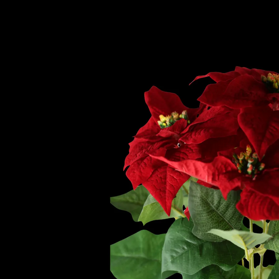 Basic u0026 More Kunstig Julestjerne i Potte Rød (40cm)> Julepynt & Dekoration|Jul