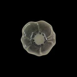 Basic u0026 More Lille Skål CAHID i Blomst design (10x10x3cm) Creme/Grå><noscript><img width=