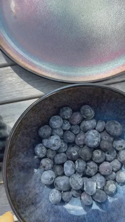 Basic u0026 More Lille Skål EVA (8,8x8,8x3cm) Blå><noscript><img width=