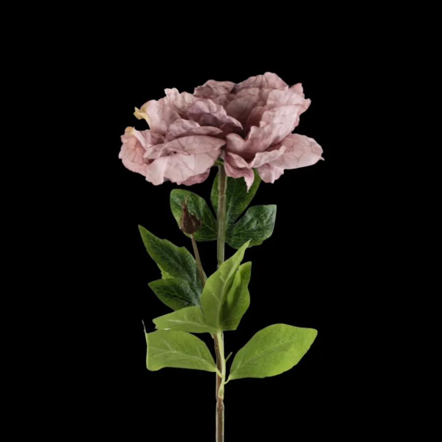 Basic u0026 More Pæon Blomst (H64cm) Lyse Lilla> Blomster